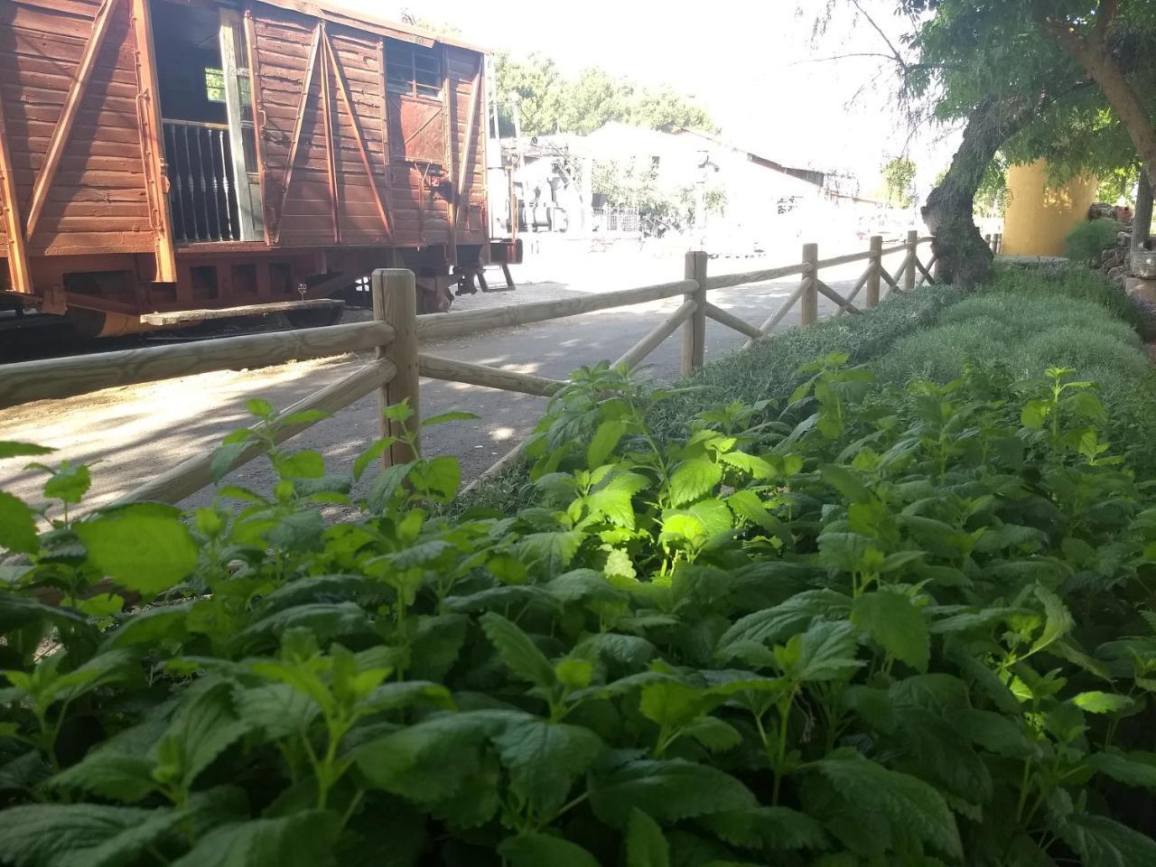 Hotel Hostal Nicol'S Luque Exterior foto
